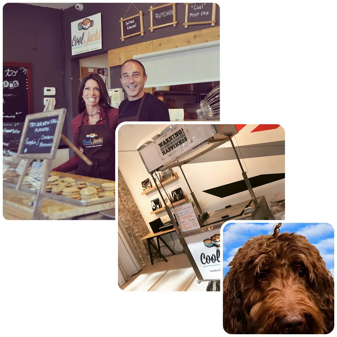 Cool Jacks shop with smiling owners, stacked cookies, ice cream cart, and a close-up of a brown dog named Jackson.